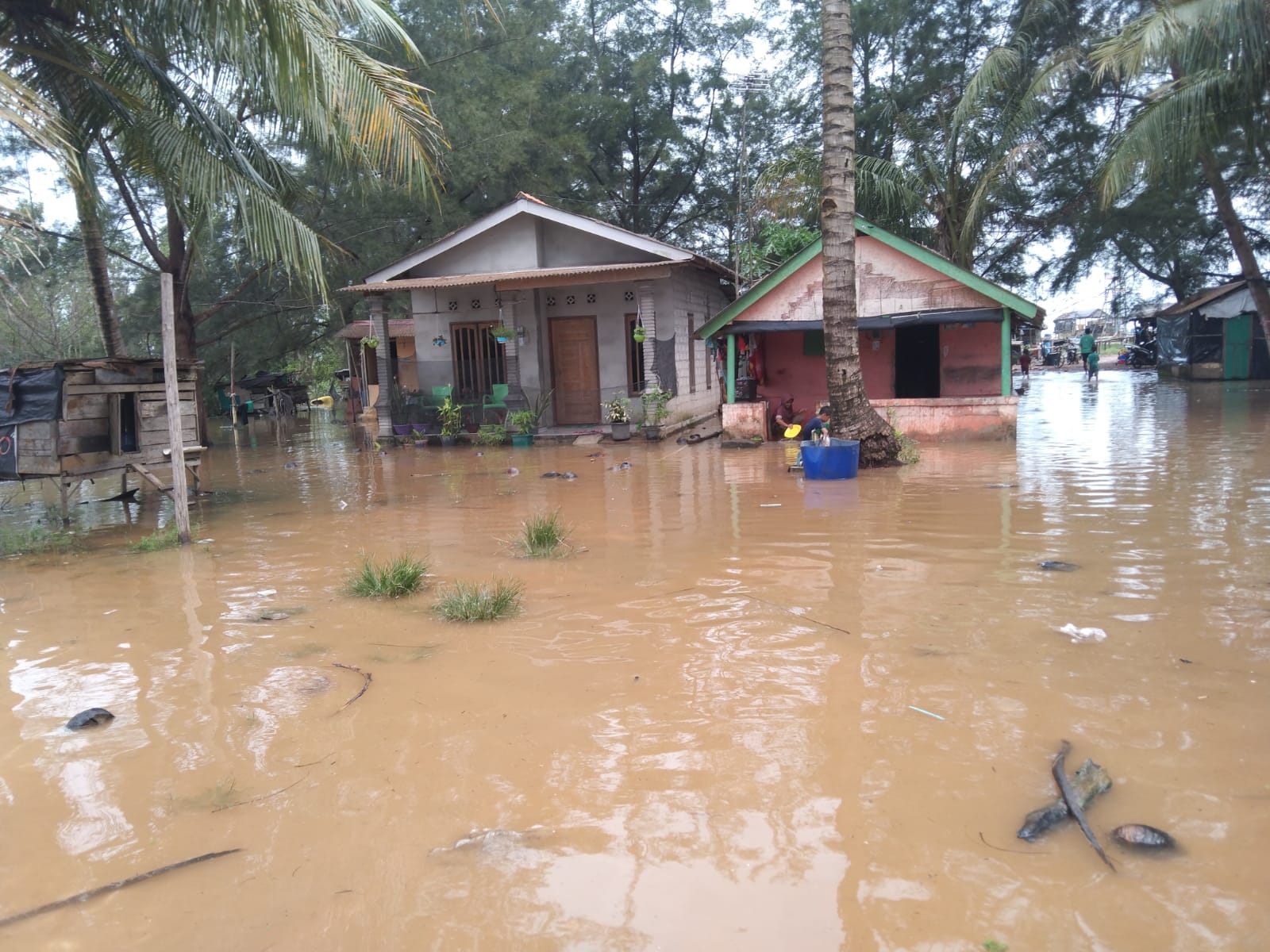 Rumah terendam akibat banjir rob, di salah satu desa di Bangka Belitung. (Dok BPBD)