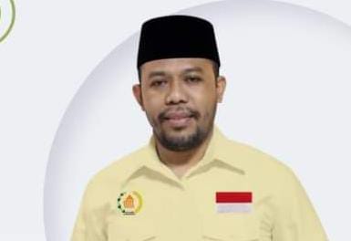 Muliansyah Abdurrahaman Ways (Komite Kadin Indonesia, Pegiat Demokrasi & Politik Lokal),(Doc:DETIK Indonesia) 