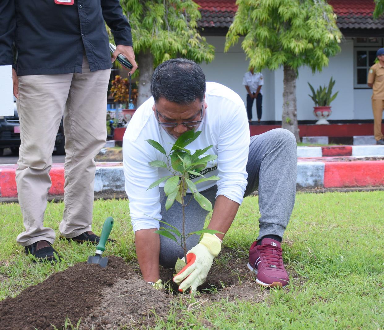 pemkot tidore tanam rempah di halaman kantor wali kota.(doc. DETIK Indonesia / www.detikindonesia.co.id)