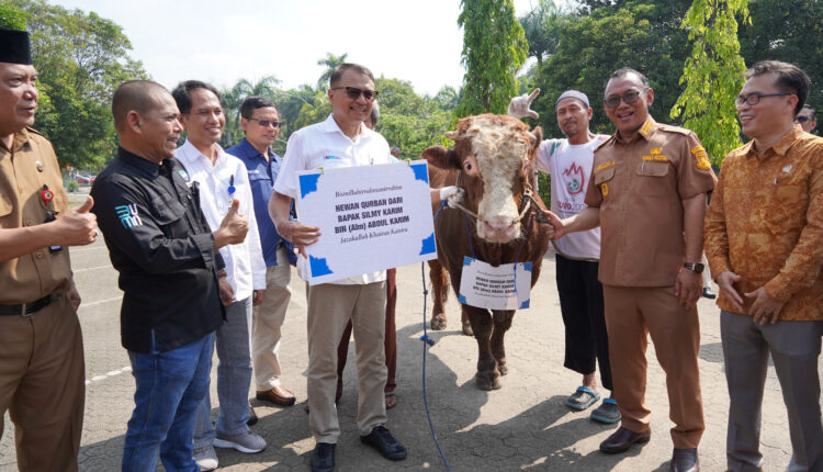 Penyerahan Hewan Qurban Dari Krakatau Steel /Dok (detikindonesia.co.id)