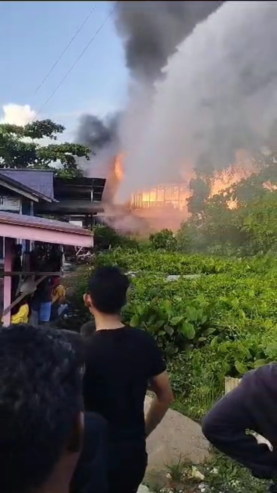 Si Jago Merah Lahap Rumah Kerugian Hingga Ratusan Juta. (detikindonesia.co.id)