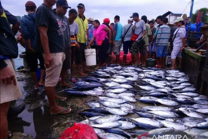 Sektor Perikanan Yang Bisa Dilirik oleh Investor dari Negara di ASEAN, Antaranews - (detikindonesia.co.id)