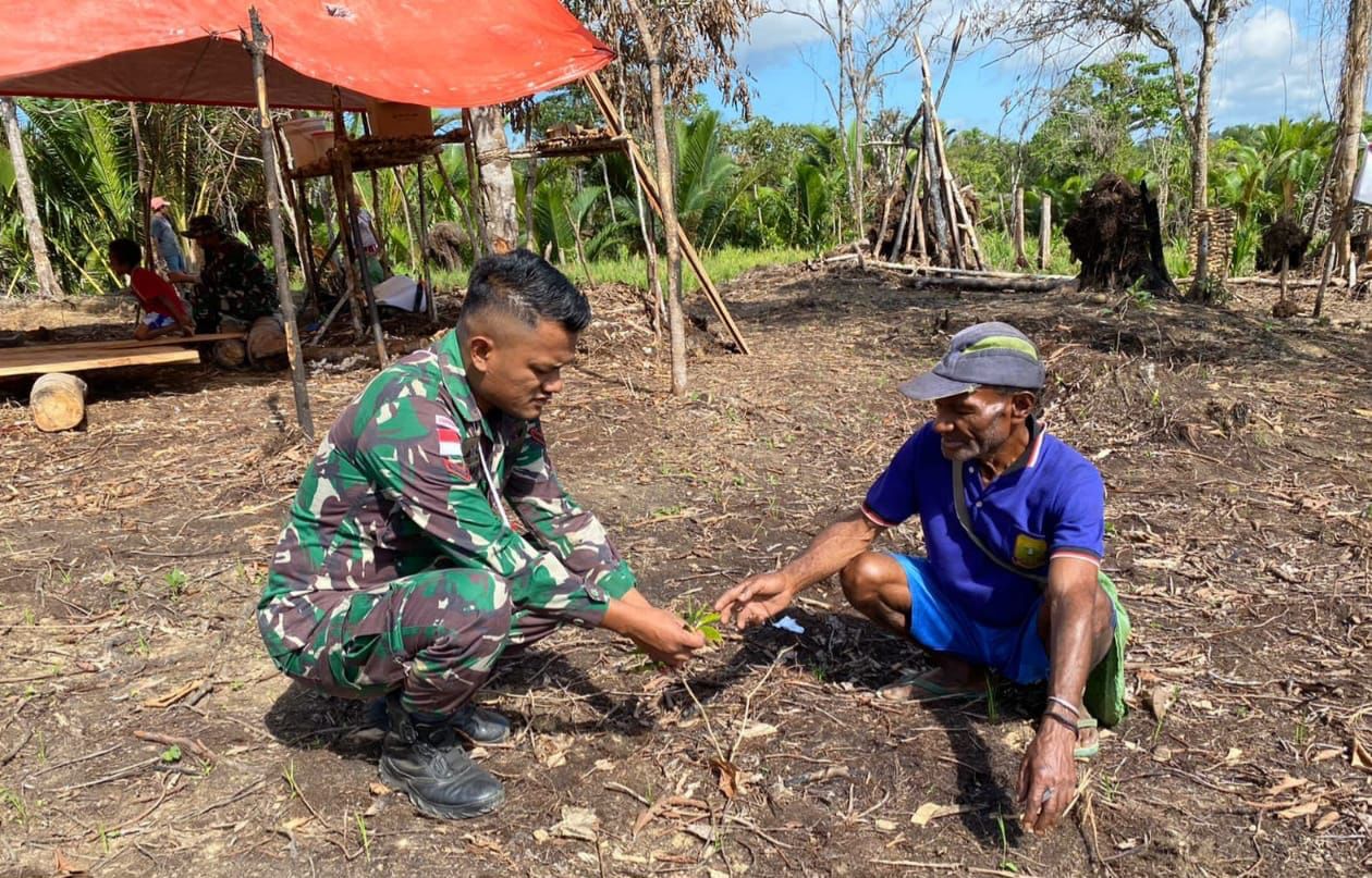 Bersama Warga, Satgas Yonif 143/TWEJ Siapkan Lumbung Kopi Di Papua (detikindonesia.co.id)