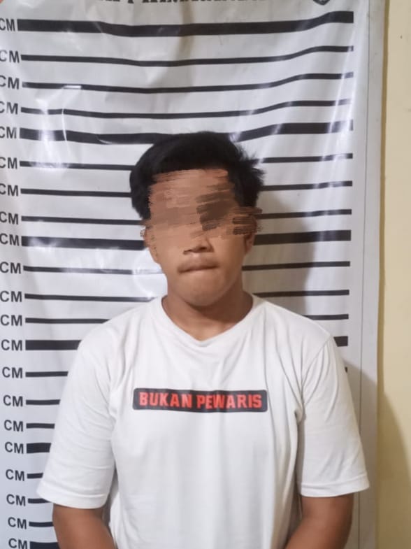 Pelaku Pria Berinisial MM Alias M (26) (detikindonesia.co.id)