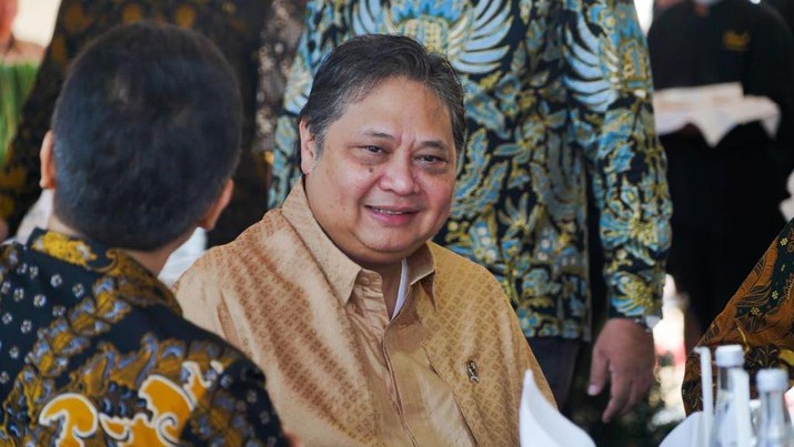 Airlangga Hartarto. (detikindonesia.co.id)