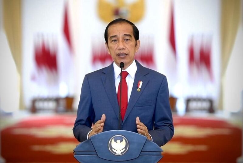 Presiden RI Joko Widodo (foto Istimewa/detikindonesia)