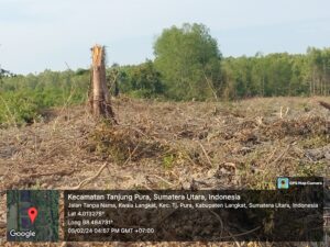 Keterangan Foto: Lokasi Lahan di Desa Klawa Langkat, Kecamatan Tanjung Pura, Kabupaten Langkat, Sumut.