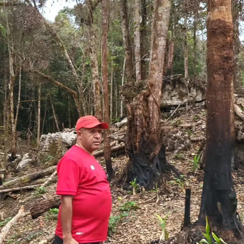 Bupati Spei Yan Bidana, ST,M.Si saat memantau salah satu kawasan hutan di Pegunungan Bintang yang dibakar dan ditebang. (Detik Indonesia/Papua Bangkit)