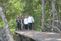 Tim Rencana Pembangunan Kawasan Perdesaan Pariwisata meninjau Desa Angsana untuk pengembangan wisata mangrove. Desa ini termasuk desa mandiri di Tanah Bumbu. (Foto: DPMD Tanah Bumbu untuk Rada