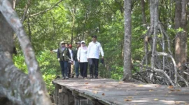 Tim Rencana Pembangunan Kawasan Perdesaan Pariwisata meninjau Desa Angsana untuk pengembangan wisata mangrove. Desa ini termasuk desa mandiri di Tanah Bumbu. (Foto: DPMD Tanah Bumbu untuk Rada