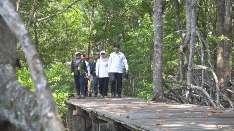 Tim Rencana Pembangunan Kawasan Perdesaan Pariwisata meninjau Desa Angsana untuk pengembangan wisata mangrove. Desa ini termasuk desa mandiri di Tanah Bumbu. (Foto: DPMD Tanah Bumbu untuk Rada