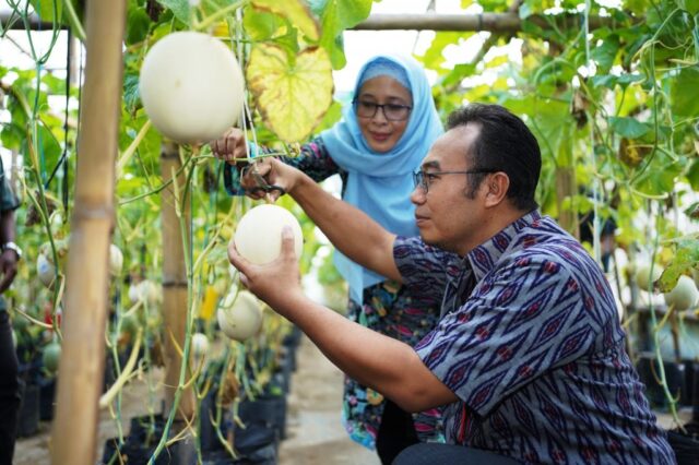 Bupati Sragen, Sigit Pamungkas berkunjung diperkebunan modern berkonsep green house tanaman melon di Tani Lancar Barokah, Dukuh Pilangrejp, Desa Puro, Kecamatan Karangmalang || dok Pemkab Sragen