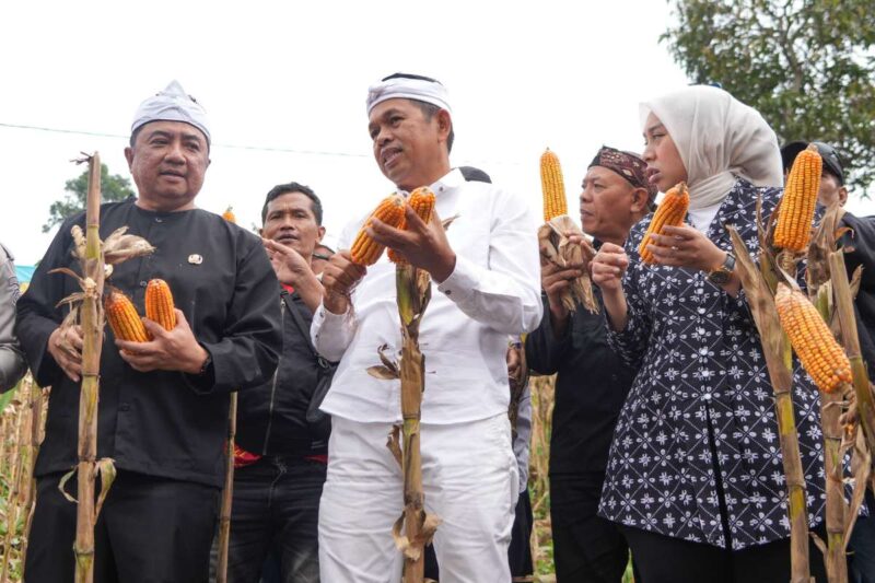 Sumber : Portal Jabar