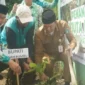 Bupati Tanah Bumbu saat menanam pohon (Detik Indonesia/Patroli Cyber)