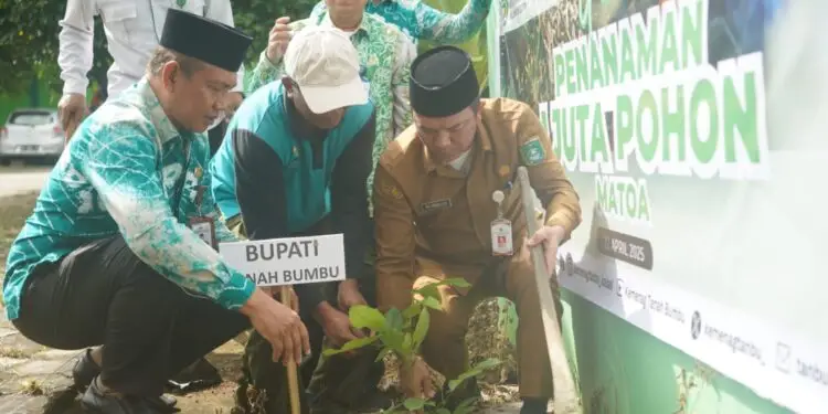 Bupati Tanah Bumbu saat menanam pohon (Detik Indonesia/Patroli Cyber)