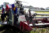 subsidi pupuk sragen, bantuan petani sragen, sigit pamungkas bupati sragen, gagal panen sragen, asuransi usaha tani padi, autp kementan, bantuan pertanian sragen, subsidi pestisida sragen, sragen bantuan pengairan, petani sragen 2025