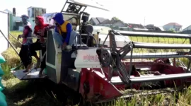 subsidi pupuk sragen, bantuan petani sragen, sigit pamungkas bupati sragen, gagal panen sragen, asuransi usaha tani padi, autp kementan, bantuan pertanian sragen, subsidi pestisida sragen, sragen bantuan pengairan, petani sragen 2025