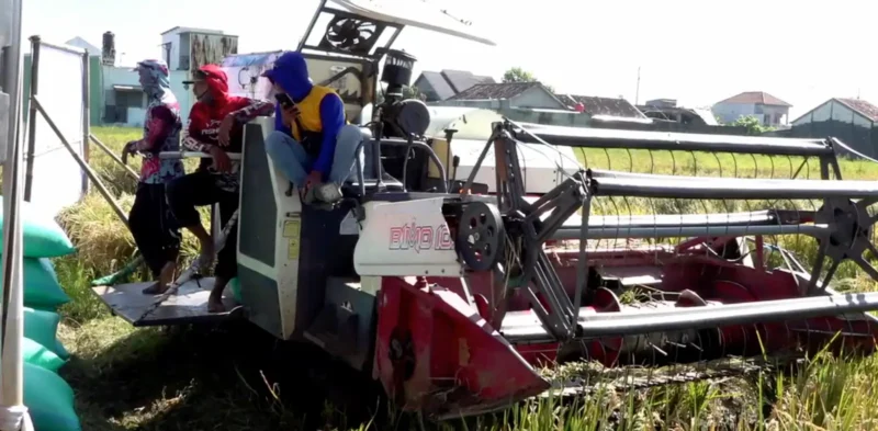 subsidi pupuk sragen, bantuan petani sragen, sigit pamungkas bupati sragen, gagal panen sragen, asuransi usaha tani padi, autp kementan, bantuan pertanian sragen, subsidi pestisida sragen, sragen bantuan pengairan, petani sragen 2025