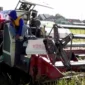 subsidi pupuk sragen, bantuan petani sragen, sigit pamungkas bupati sragen, gagal panen sragen, asuransi usaha tani padi, autp kementan, bantuan pertanian sragen, subsidi pestisida sragen, sragen bantuan pengairan, petani sragen 2025