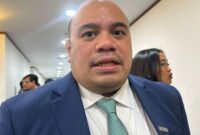 Chief Investment Officer (CIO) Badan Pengelolaan Investasi (BPI) Daya Anagata Nusantara (Danantara) Pandu Sjahrir (Detik Indonesia/ANTARA)