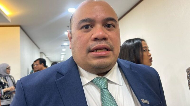 Chief Investment Officer (CIO) Badan Pengelolaan Investasi (BPI) Daya Anagata Nusantara (Danantara) Pandu Sjahrir (Detik Indonesia/ANTARA)