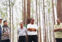 Gubernur NTT mengisi hari Minggu dengan menikmati alam di Kabupaten Ende. (Detik Indonesia/Infontt)