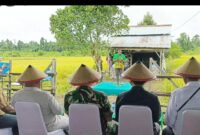 Sambutan Bupati Teluk Bintuni, Yohanis Manibuy, S.E., M.H., dibacakan oleh Asisten III Setda Teluk Bintuni, Yohanis Manobi, usai pelaksanaan panen padi bersama di persawahan Kampung Waraitama, Distrik Manimeri, pada Sabtu (5/4/2025). (Detik Indonesia/Media Pro Rakyat)