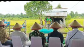 Sambutan Bupati Teluk Bintuni, Yohanis Manibuy, S.E., M.H., dibacakan oleh Asisten III Setda Teluk Bintuni, Yohanis Manobi, usai pelaksanaan panen padi bersama di persawahan Kampung Waraitama, Distrik Manimeri, pada Sabtu (5/4/2025). (Detik Indonesia/Media Pro Rakyat)