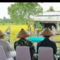 Sambutan Bupati Teluk Bintuni, Yohanis Manibuy, S.E., M.H., dibacakan oleh Asisten III Setda Teluk Bintuni, Yohanis Manobi, usai pelaksanaan panen padi bersama di persawahan Kampung Waraitama, Distrik Manimeri, pada Sabtu (5/4/2025). (Detik Indonesia/Media Pro Rakyat)