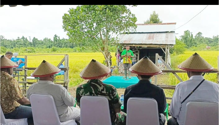 Sambutan Bupati Teluk Bintuni, Yohanis Manibuy, S.E., M.H., dibacakan oleh Asisten III Setda Teluk Bintuni, Yohanis Manobi, usai pelaksanaan panen padi bersama di persawahan Kampung Waraitama, Distrik Manimeri, pada Sabtu (5/4/2025). (Detik Indonesia/Media Pro Rakyat)