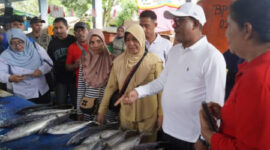 Sumber : Mapikor