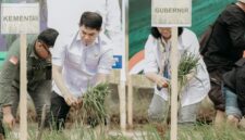 Kabupaten Tanah Bumbu menjadi pusat pelaksanaan Gerakan Menanam Padi Serentak di Provinsi Kalimantan Selatan, Rabu (23/4/2025) (Detik Indonesia/Radar Banjarmasin)