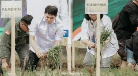 Kabupaten Tanah Bumbu menjadi pusat pelaksanaan Gerakan Menanam Padi Serentak di Provinsi Kalimantan Selatan, Rabu (23/4/2025) (Detik Indonesia/Radar Banjarmasin)
