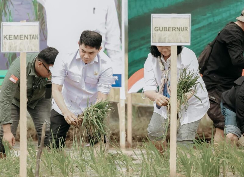 Kabupaten Tanah Bumbu menjadi pusat pelaksanaan Gerakan Menanam Padi Serentak di Provinsi Kalimantan Selatan, Rabu (23/4/2025) (Detik Indonesia/Radar Banjarmasin)
