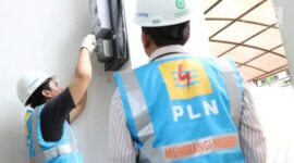 Ilustrasi PLN (Detik Indonesia/PLN)