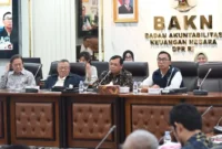 Herman Khaeron (Detik Indonesia/Suara Pemerintah)