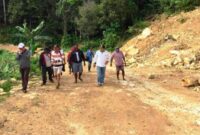 Akses jalan tembus Distrik Karas (Primarakyat/Detik Indonesia)