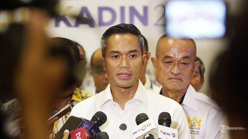 Ketua KADIN Anindya Bakrie (Detik Indonesia/ANTARA)